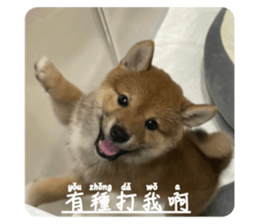 544008665