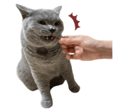 544026259