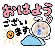 544143536