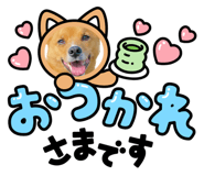544143537