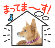 544143548