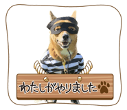 544143553