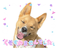 544143554