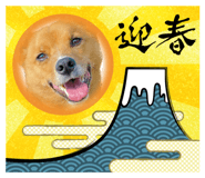 544143564
