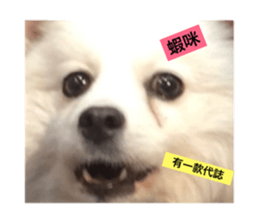 54418526