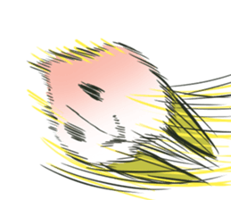 5442431