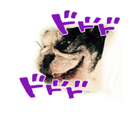 544283899