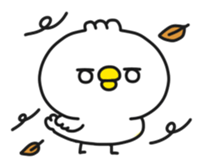 5443022