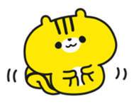 5443031