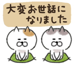 544337911