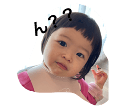 544338116