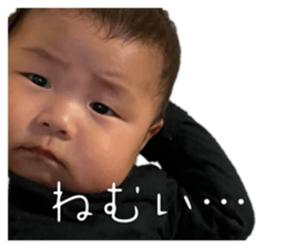 544346239