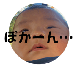 544346241