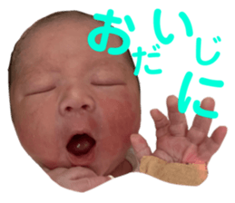 544358305
