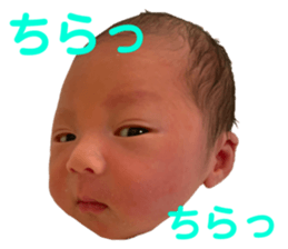 544358316