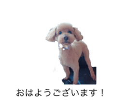 544422895