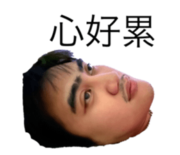 544443024
