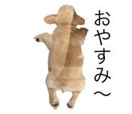 544443841