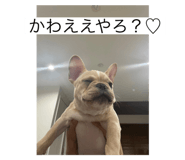544443842