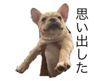 544443852