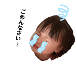 544446642