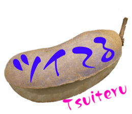 544462002