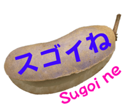 544462008