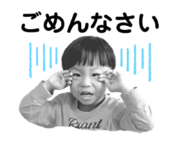 544467341