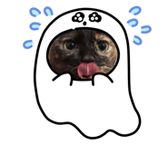 544477569