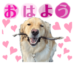 544544838