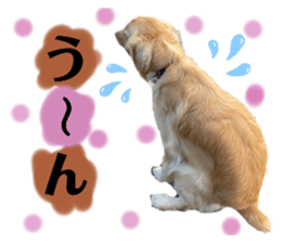 544544857