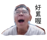 544547838