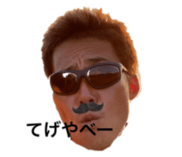 544548231