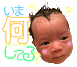 544548493
