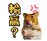 544554731