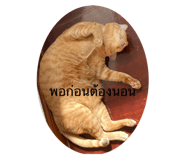 544558284