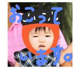 544558517