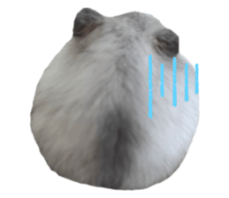 544568170