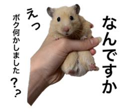 544568185