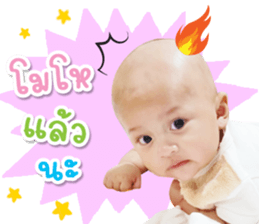 544569317