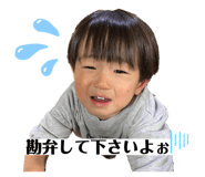 544573667