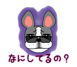 544576587