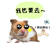 544631921