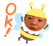 544638548