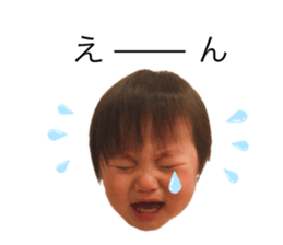 544647044