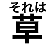 544672651