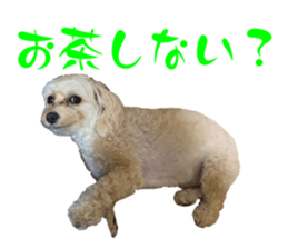 544672792