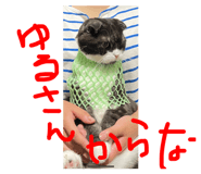 544673082