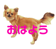 544768655
