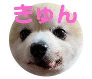 544768659